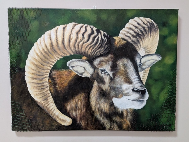 Le mouflon