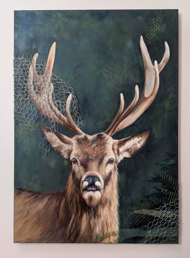 Le cerf pris dans le grillage